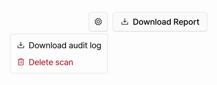 Scan audit log