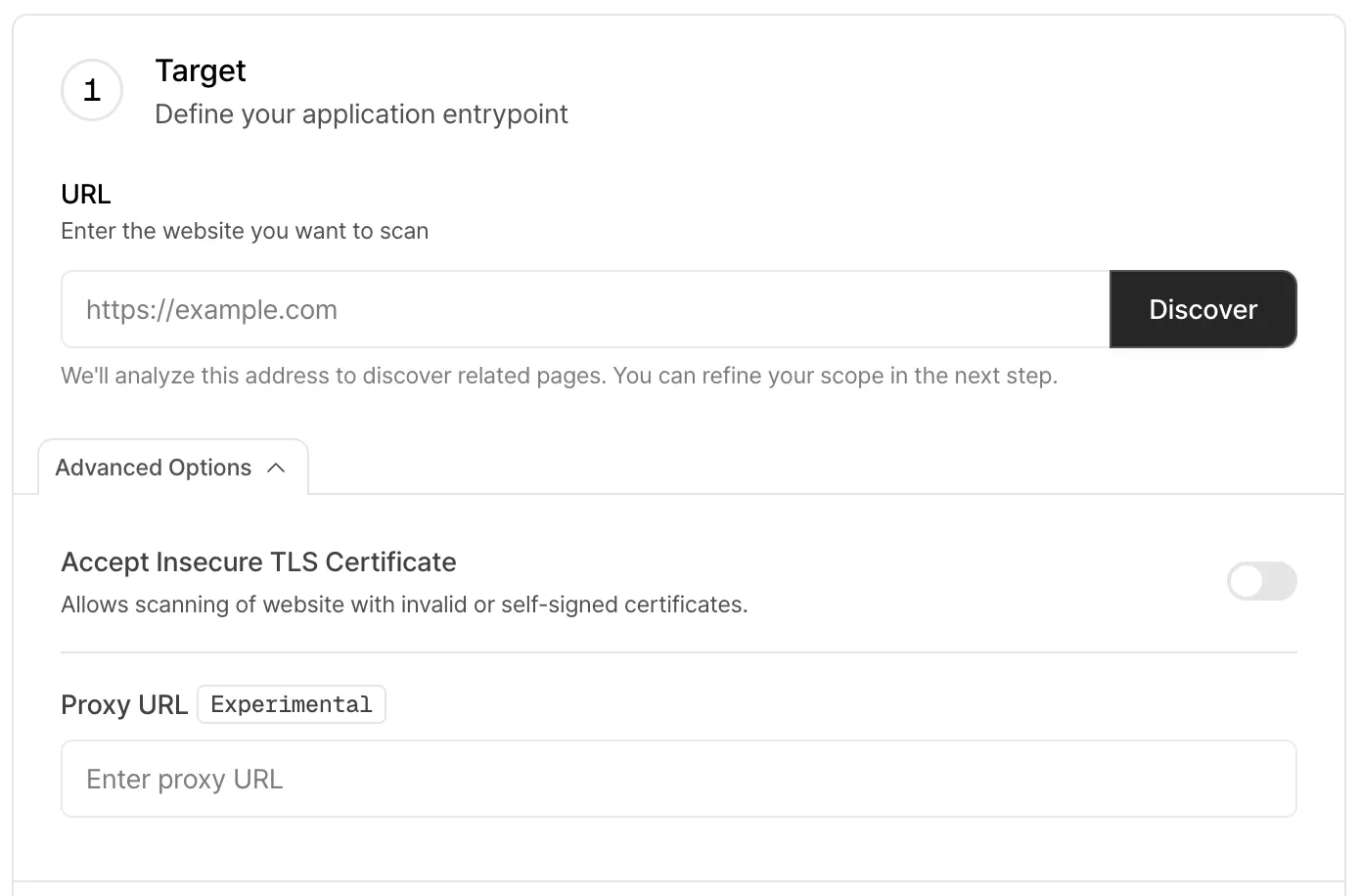Advanced options in create scan page